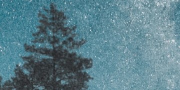 Gli alberi celesti